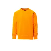 Felpa Girocollo e manica Raglan Mistral+ | Payper