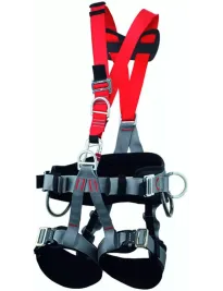 Imbracatura Coverguard Golden Top Plus 2 Punti con Cintuta MO71061