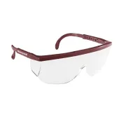 10 Pezzi - Occhiali Santa Cruz Incolore Honeywell - 1002677