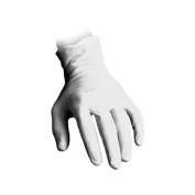 Guanti in Lattice senza Polvere Father Latexx Reflexx