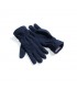 Guanti Suprafleece Alpine Gloves Beechfield - B296