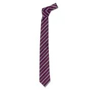 Cravatta da Lavoro 100% Poliestere Giblor's 19P05I141