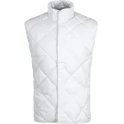 Gilet da lavoro imbottito Workteam BASIC - B3011
