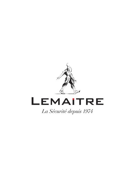 Lemaitre